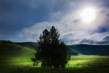 Mountain landscape in summer. Altai Republic, South Siberia, Russia