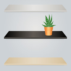 Realistic vector bookshelves in three colors. Retail shelves with cute cactus.