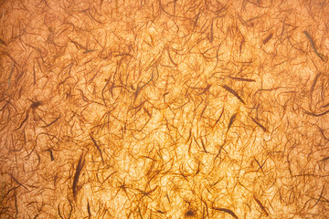 Paper texture (translucent) made by hand with visible organic fibers. In delicate shades, orange and vanilla.