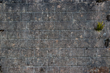 Grey rough brick wall background pattern vintage texture