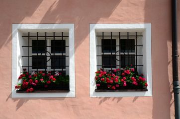 windows with flowers at Brunico (Bolzano) in south tyrol, Italy.