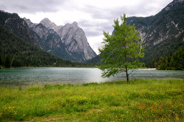 view of the alpine lake of Dobbiaco. Val Pusteria, South Tyrol, Italy.