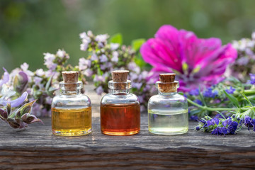 Essential oil bottles with hyssop, clary sage, oregano