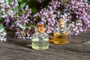 Obraz na płótnie Canvas Bottles of essential oil with fresh blooming oregano