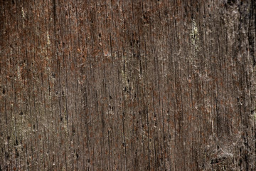 Worn old rough wood grunge vintage background texture