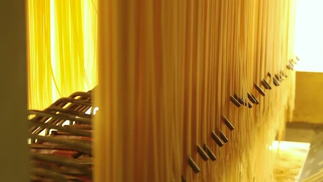 Conveyor is moving away a row of fresh spaghetti which is getting put on it. Spaghetti production line. Close up of raw spaghetti hung in a pasta factory, swinging, to dry. Spaghetti production line.