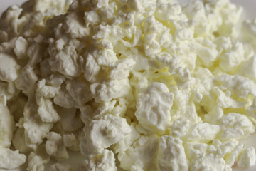 Fresh cottage cheese, close up