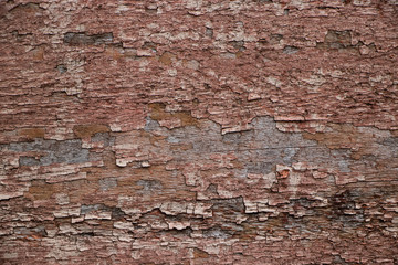 Vintage worn wood grain texture background surface