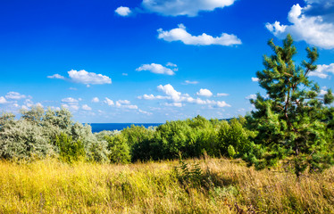 Fototapeta na wymiar Beautiful landscape of Kaniv Reservoir, Ukraine, in sunny day with bright cloudy sky