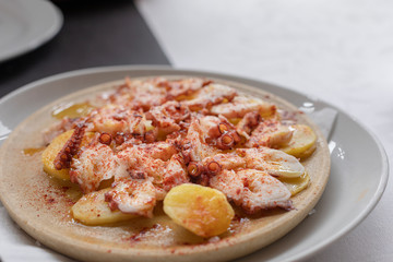 Galician octopus 