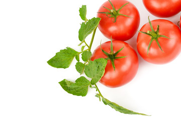 Tomatoes isolated on white background. Free space for text.
