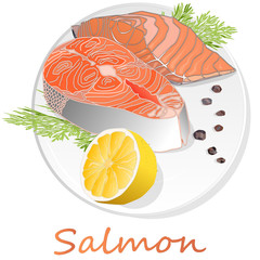 Raw salmon fillets with herbs on the plate. White background. Vector illustration