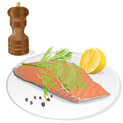 Raw salmon fillets with herbs on the plate. White background. Vector illustration