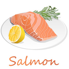 Raw salmon fillets with herbs on the plate. White background. Vector illustration