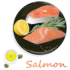 Raw salmon fillets with herbs on the plate. White background. Vector illustration