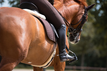 Detail von Reitstiefel und Sporen auf dem Pferd