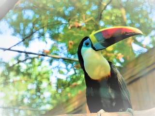 bird © Bernd