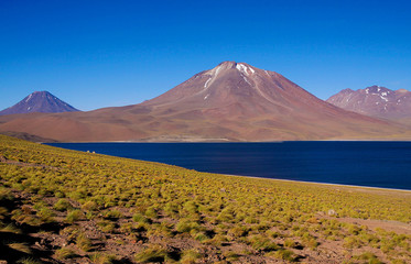 View on deep blue lake at Altiplanic Laguna (Lagoon) Miscanti in Atacama desert with partly snow capped cone of volcano Meniques in the background - Chile