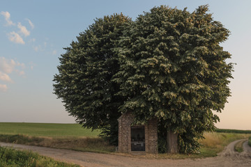 small chapel symbol of the catholic region in the field near Maastricht during sunset