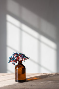 Winter berries in a small medicine bottle on a sunny table.