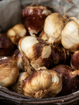 Smoked garlic in a basket