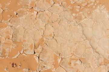Desiccated soil. Cracked dry earth texture. Close up.