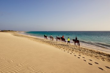 people riding horses make a walk on the Santa Maria beach on the Sal island, Capo Verde