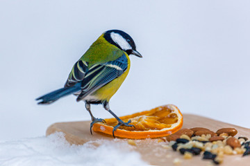 Naklejka premium wooden plank with seeds and nuts on snow, park birds in winter, help for titmouse birds