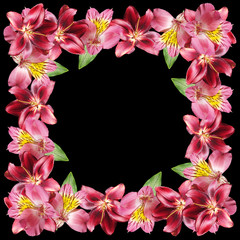 Beautiful floral pattern of burgundy lilies and pink alstroemeria. Isolated