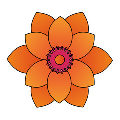 flower tropical spring floral cartoon