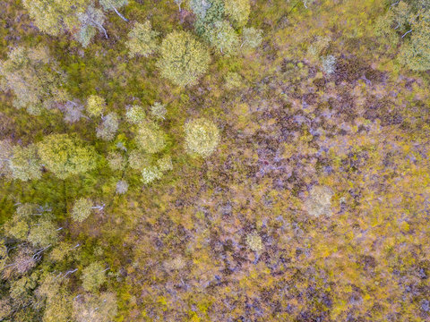 Heathland aerial view