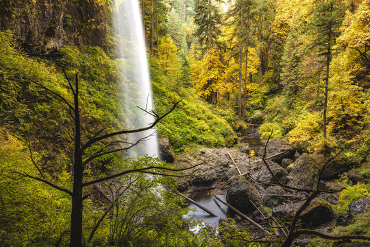 Silver Falls waterfall surrounded by brightly colored leaves dur