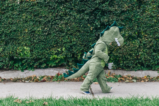 Toddler in a dinosaur costume