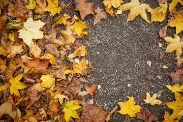 Top view of the colorful autumn leaves lying on the ground. Fading maple and other leaves are scattered on the ground. Copy space. Autumn concept.