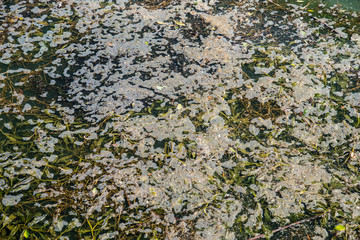 Spilled garbage on the beach of the big city. Empty used dirty plastic bottles. Environmental pollution. Ecological problem.