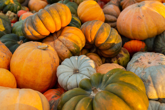 Pumpkins for sale on a farm in Massachusetts.