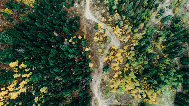 Evergreens and Aspen split by a road from the air
