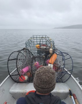 Crab Fisherman