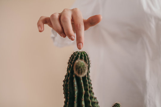 Hand of woman touching spiky cactus