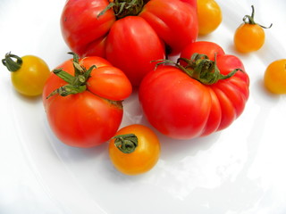 fresh red tomatoes on white background. yellow cherry tomatoes