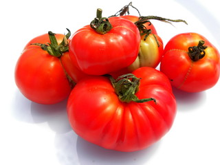 fresh red tomatoes on white background