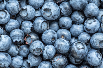 Fresh blueberries background with copy space for your text. Vegan and vegetarian concept. Macro texture of blueberry berries. Summer healthy food.