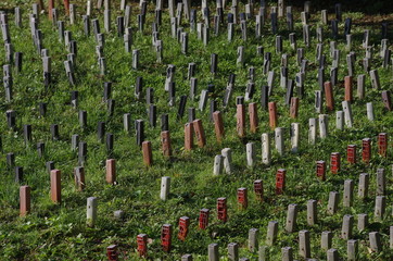 Obraz premium unknown dead people's gravestones