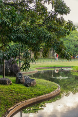 Parque del Este at the afternoon. Caracas - Venezuela