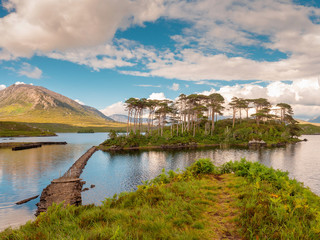 Obraz premium Pine island in Connemara national park, Sunny warm day, County Galway, Ireland. Cloudy dramatic sky.