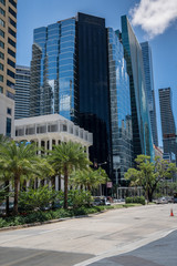 Miami financial district city scene