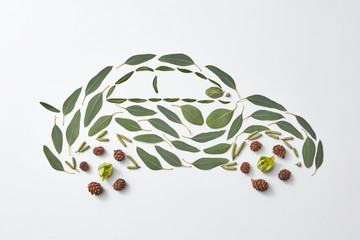 Pattern auto made from cones, green leaves and buds on a gray background with space for text. Eco concept. Flat lay