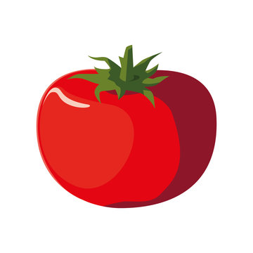 fresh vegetable tomato on white background