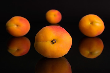 Group of four whole fresh orange apricot one is in the front and three are in the back isolated on black glass