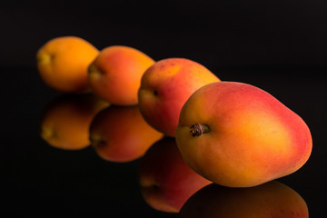 Group of four whole fresh orange apricot layered diagonally isolated on black glass